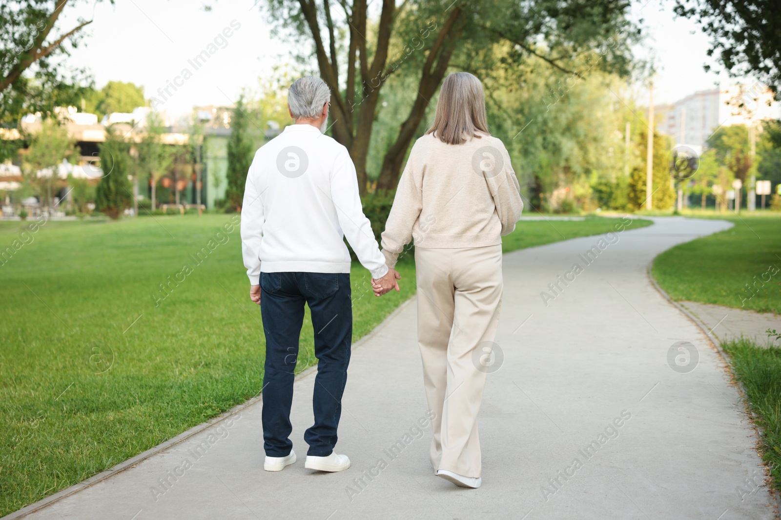 Lovely senior couple walking together in park, back view Photo of Lovely senior couple walking together in park, back view