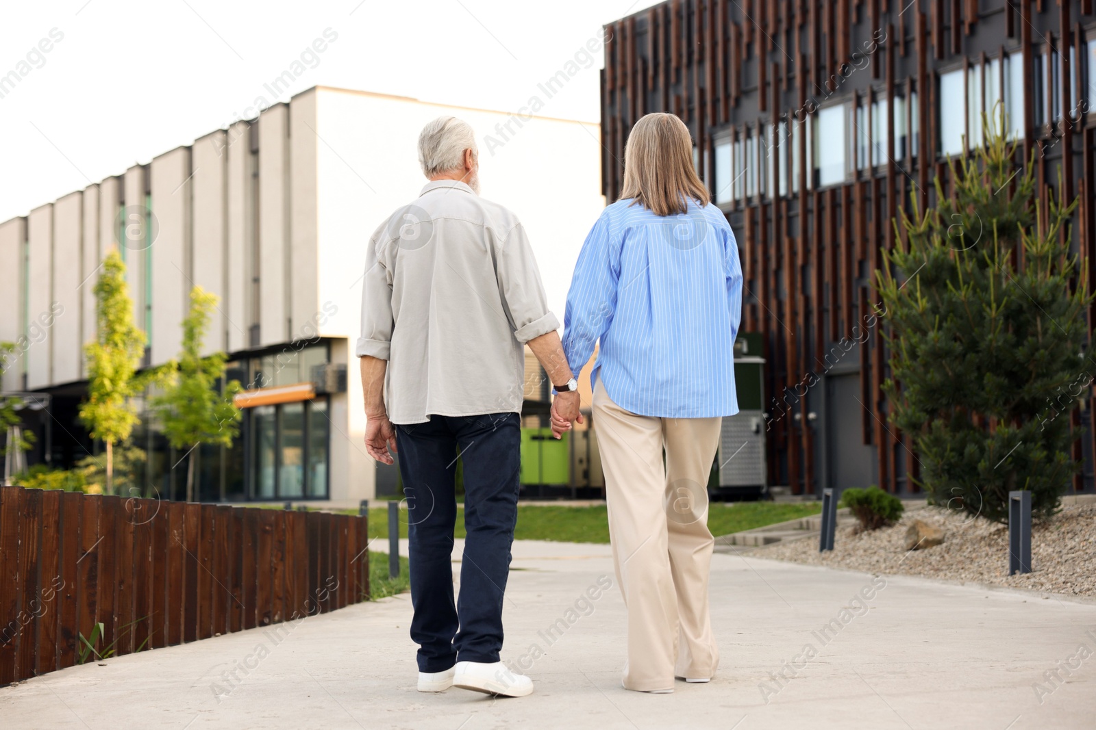 Lovely senior couple walking together in park, back view Photo of Lovely senior couple walking together in park, back view