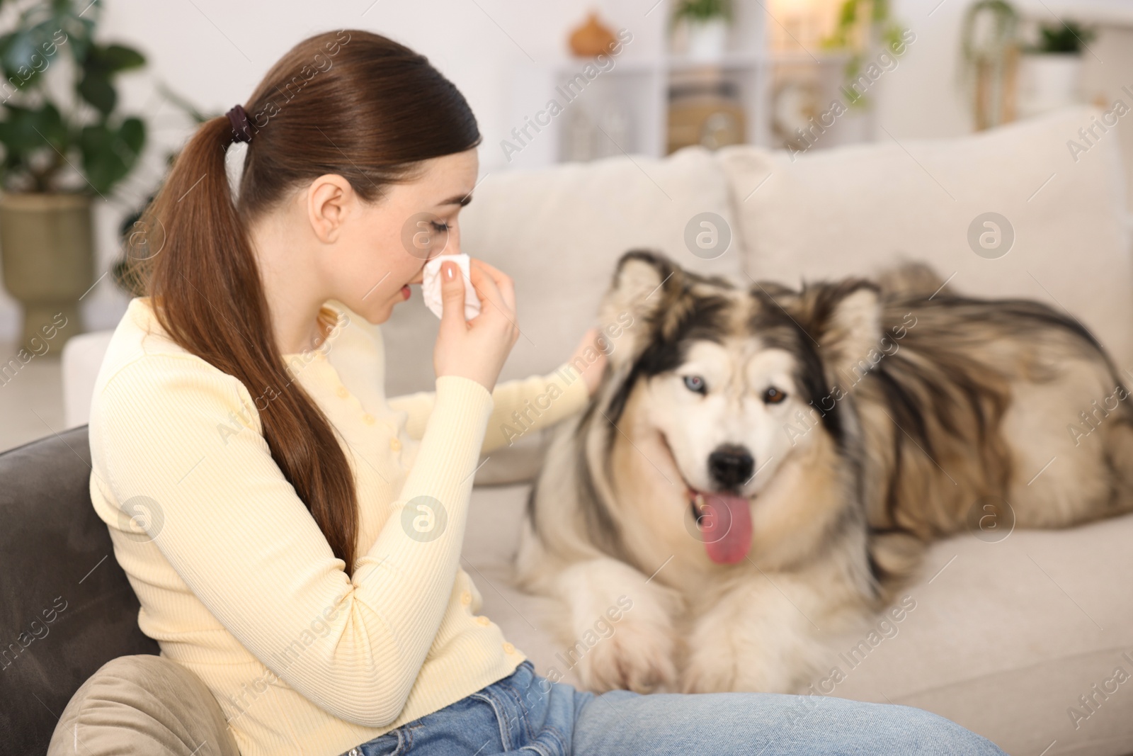 Woman suffering from allergy with her dog at home Photo of Woman suffering from allergy with her dog at home