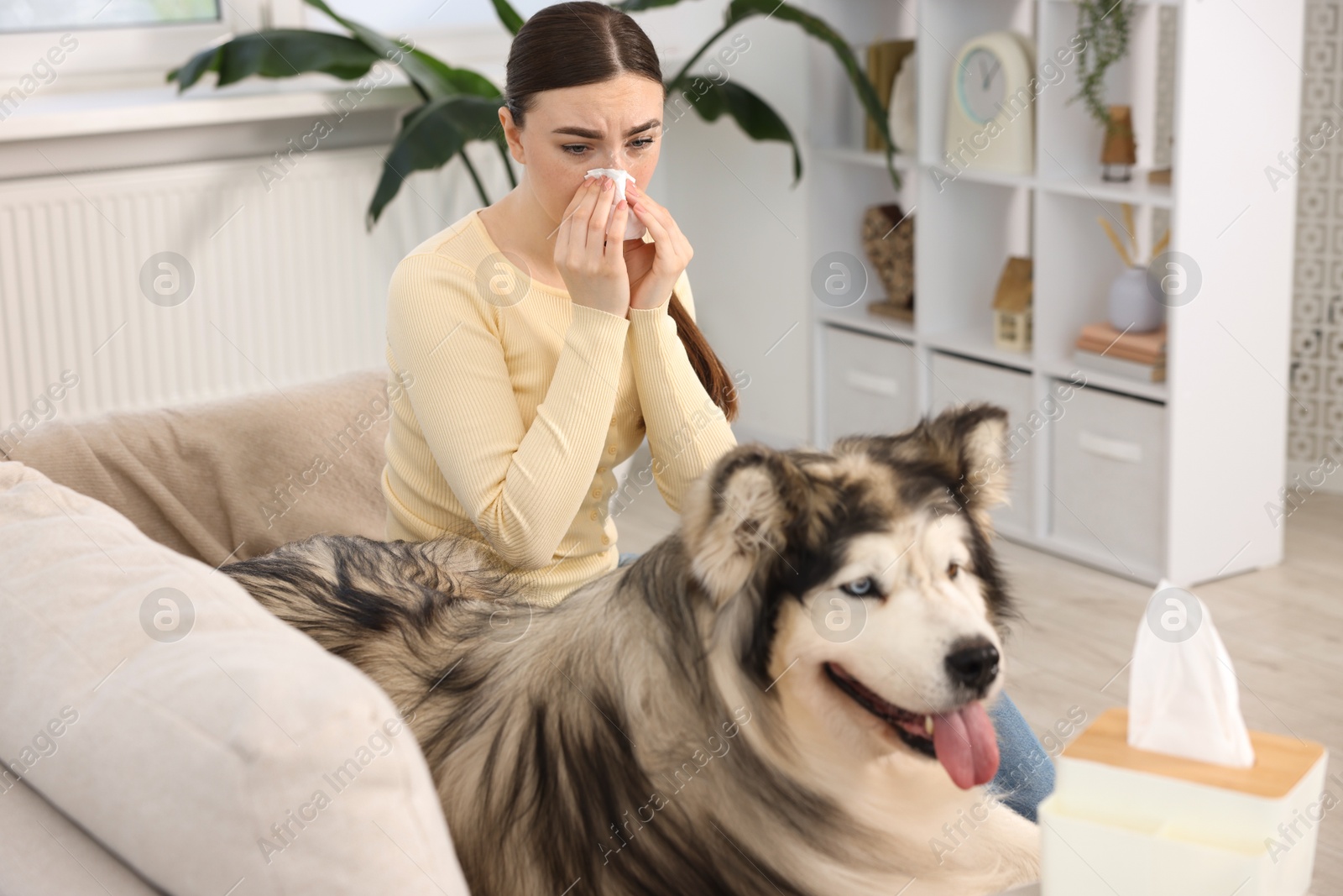 Woman suffering from allergy with her dog at home Photo of Woman suffering from allergy with her dog at home