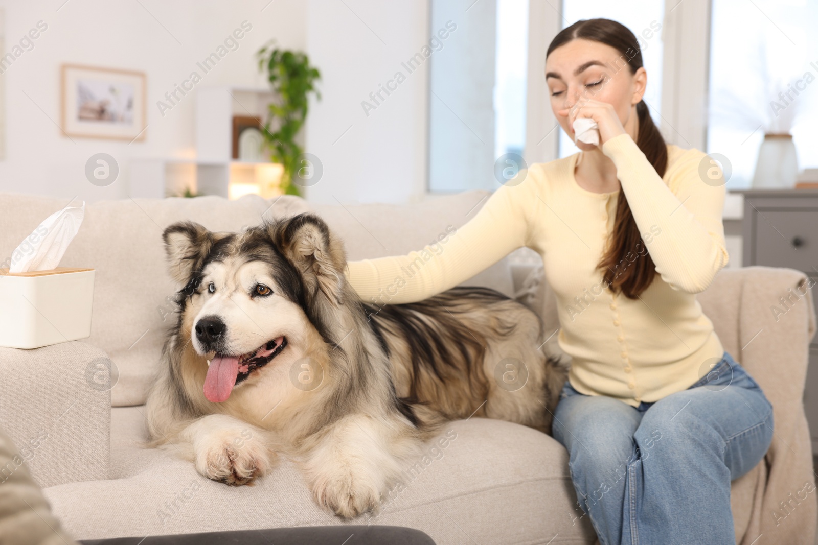 Woman suffering from allergy with her dog at home Photo of Woman suffering from allergy with her dog at home