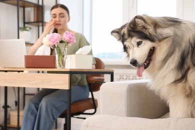 Photo of Woman suffering from allergy while working and her dog at home, selective focus