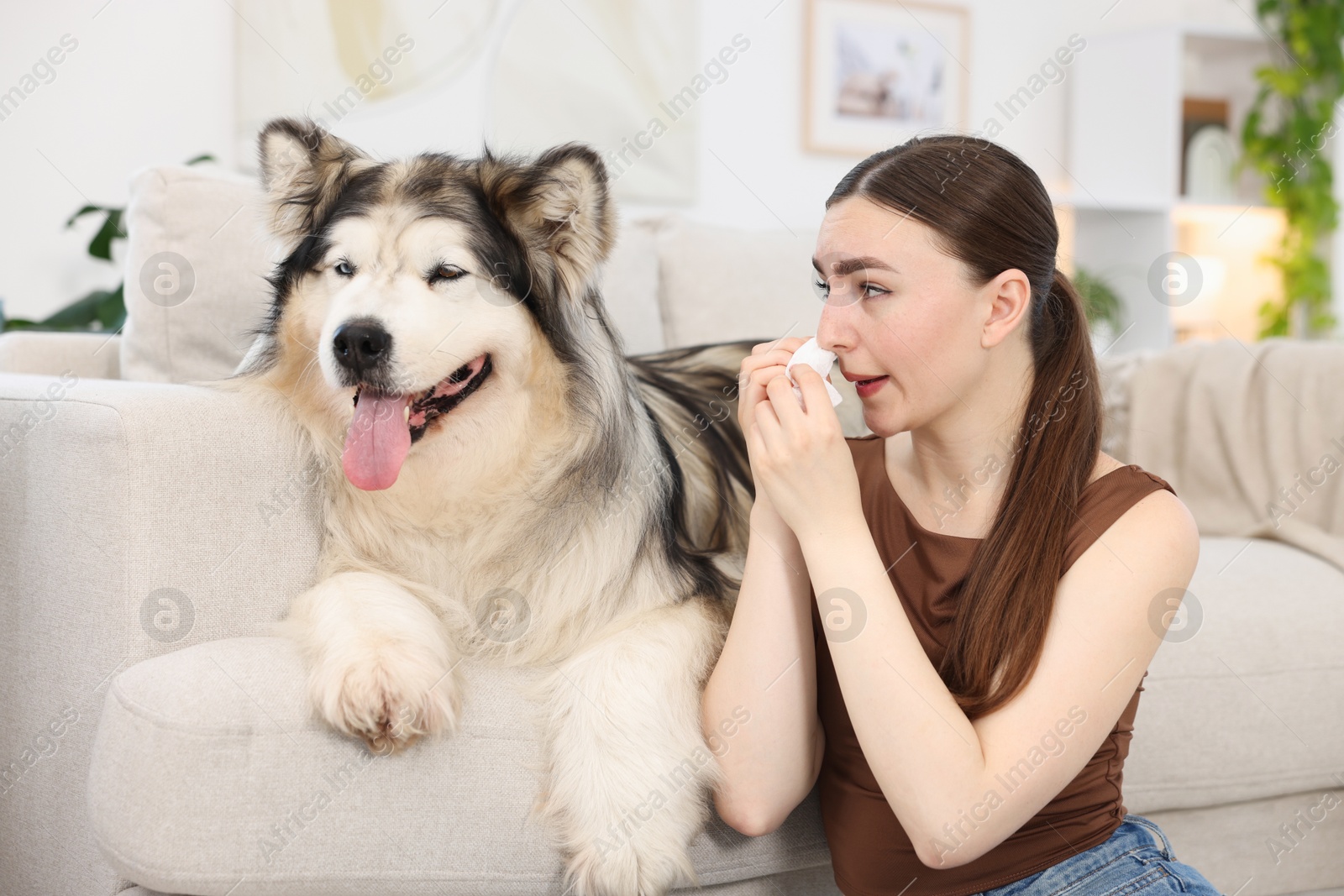 Woman suffering from allergy with her dog at home Photo of Woman suffering from allergy with her dog at home
