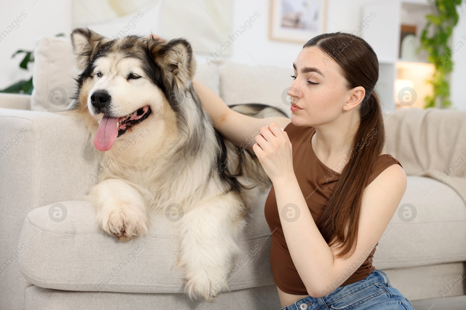 Woman suffering from allergy with her dog at home Photo of Woman suffering from allergy with her dog at home