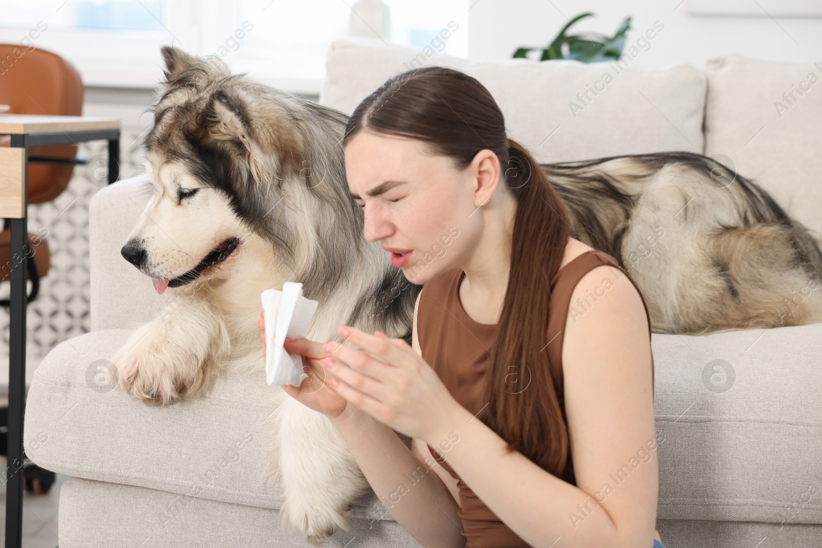 Woman suffering from allergy with her dog at home Photo of Woman suffering from allergy with her dog at home