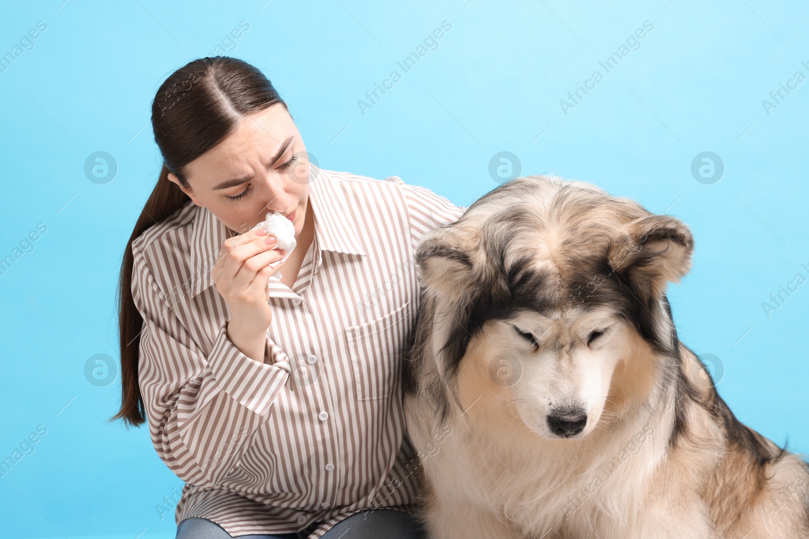 Woman suffering from allergy with her dog on light blue background Photo of Woman suffering from allergy with her dog on light blue background