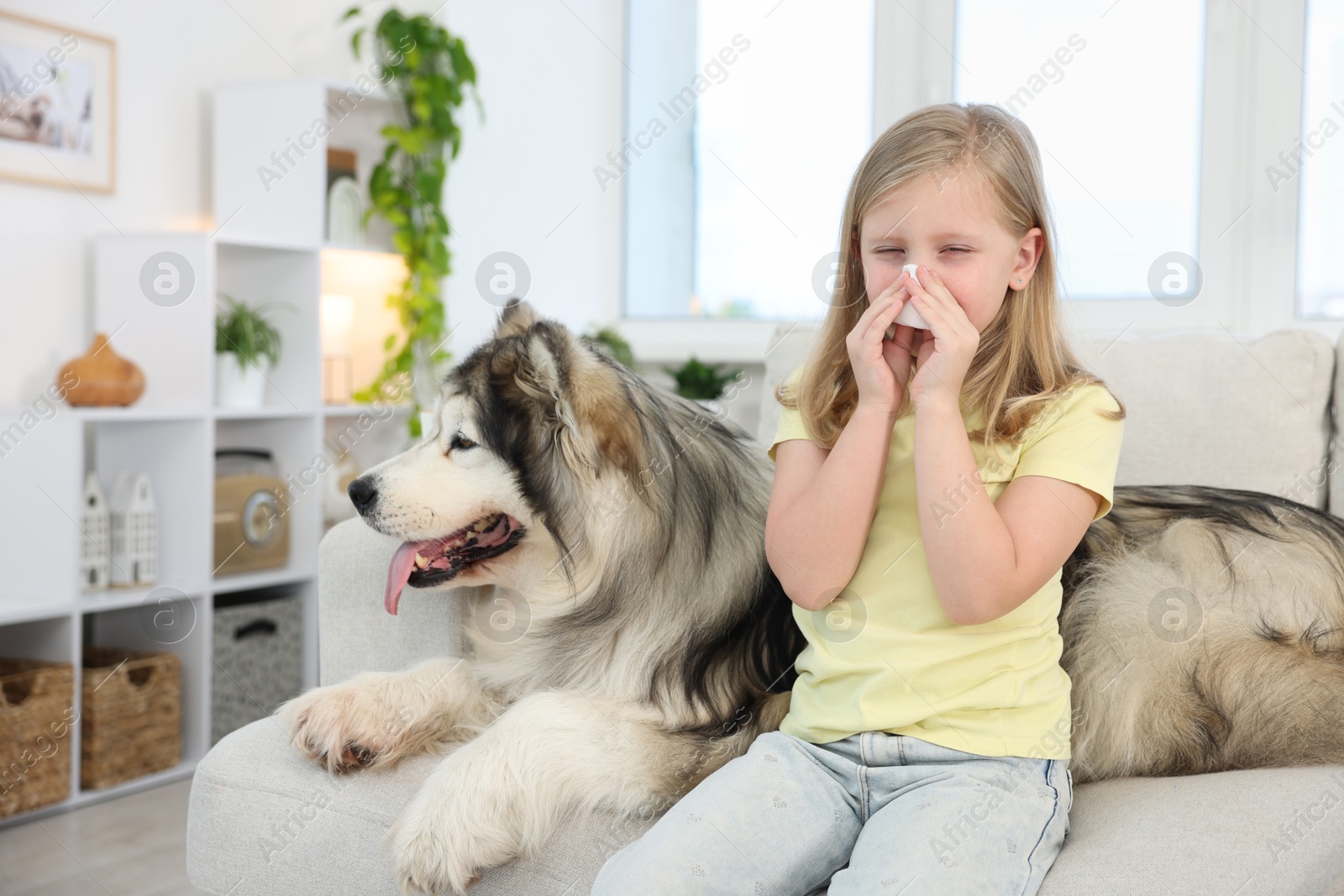 Girl suffering from allergy with her dog at home Photo of Girl suffering from allergy with her dog at home