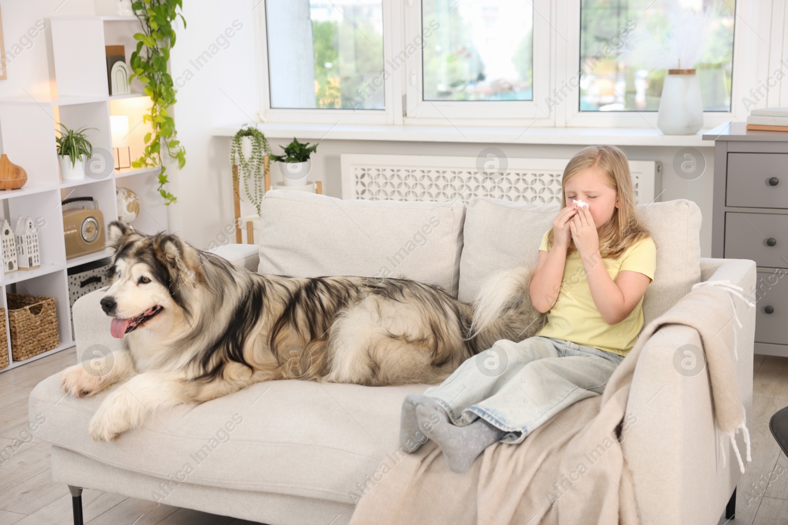 Girl suffering from allergy with her dog at home Photo of Girl suffering from allergy with her dog at home