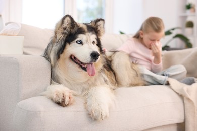 Photo of Girl suffering from allergy with her dog at home, selective focus