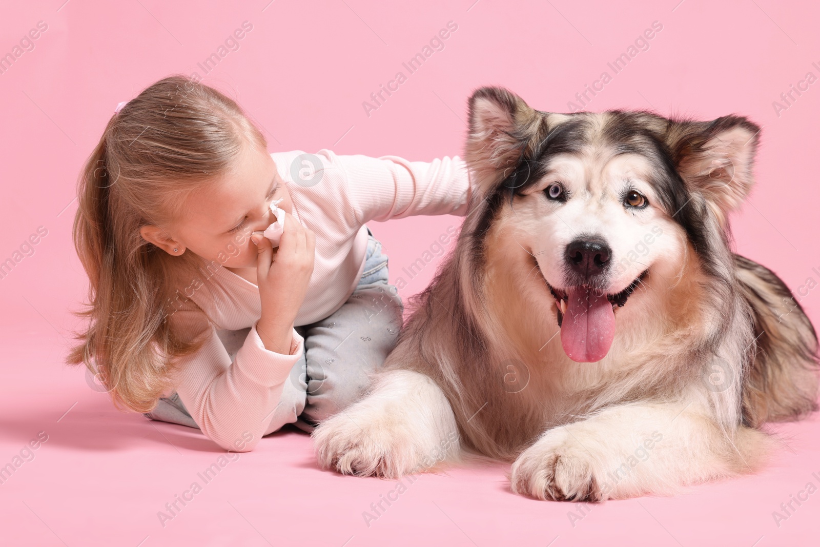 Girl suffering from allergy with her dog on pink background Photo of Girl suffering from allergy with her dog on pink background