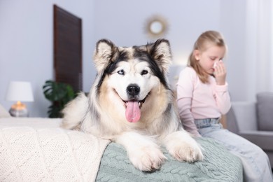 Photo of Girl suffering from allergy with her dog on bed at home, selective focus