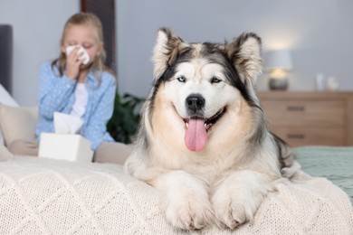 Photo of Girl suffering from allergy with her dog on bed at home, selective focus