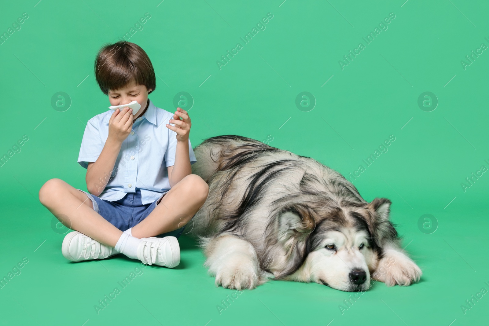 Boy suffering from allergy with her dog on green background. Space for text Photo of Boy suffering from allergy with her dog on green background. Space for text
