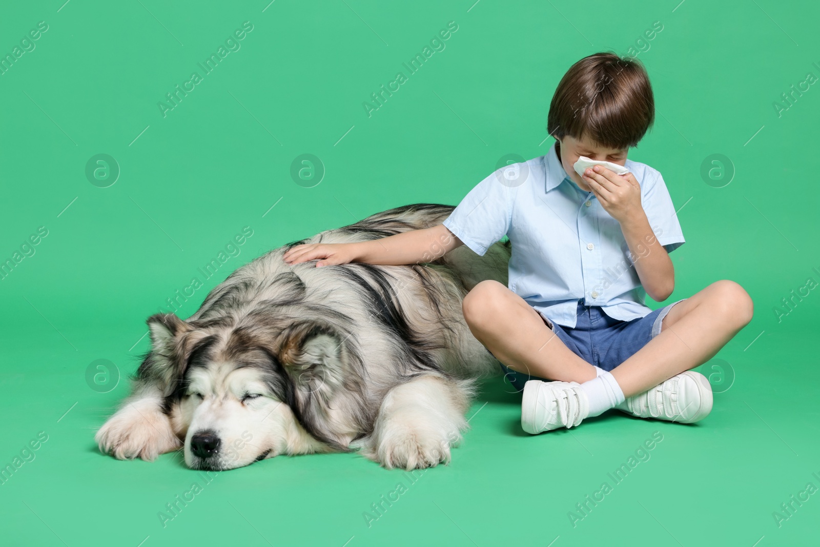 Boy suffering from allergy with her dog on green background. Space for text Photo of Boy suffering from allergy with her dog on green background. Space for text