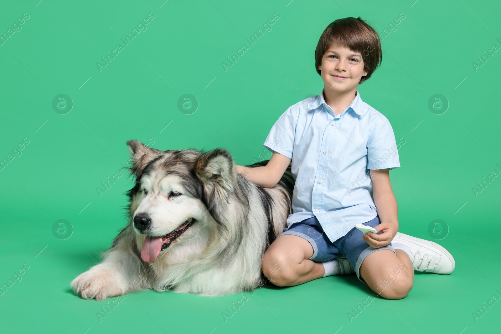Happy boy and cute dog on green background Photo of Happy boy and cute dog on green background