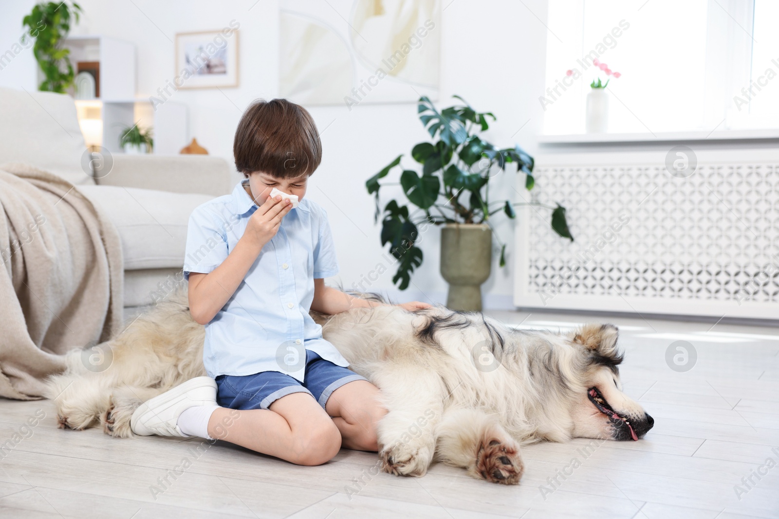 Boy suffering from allergy with her dog at home Photo of Boy suffering from allergy with her dog at home