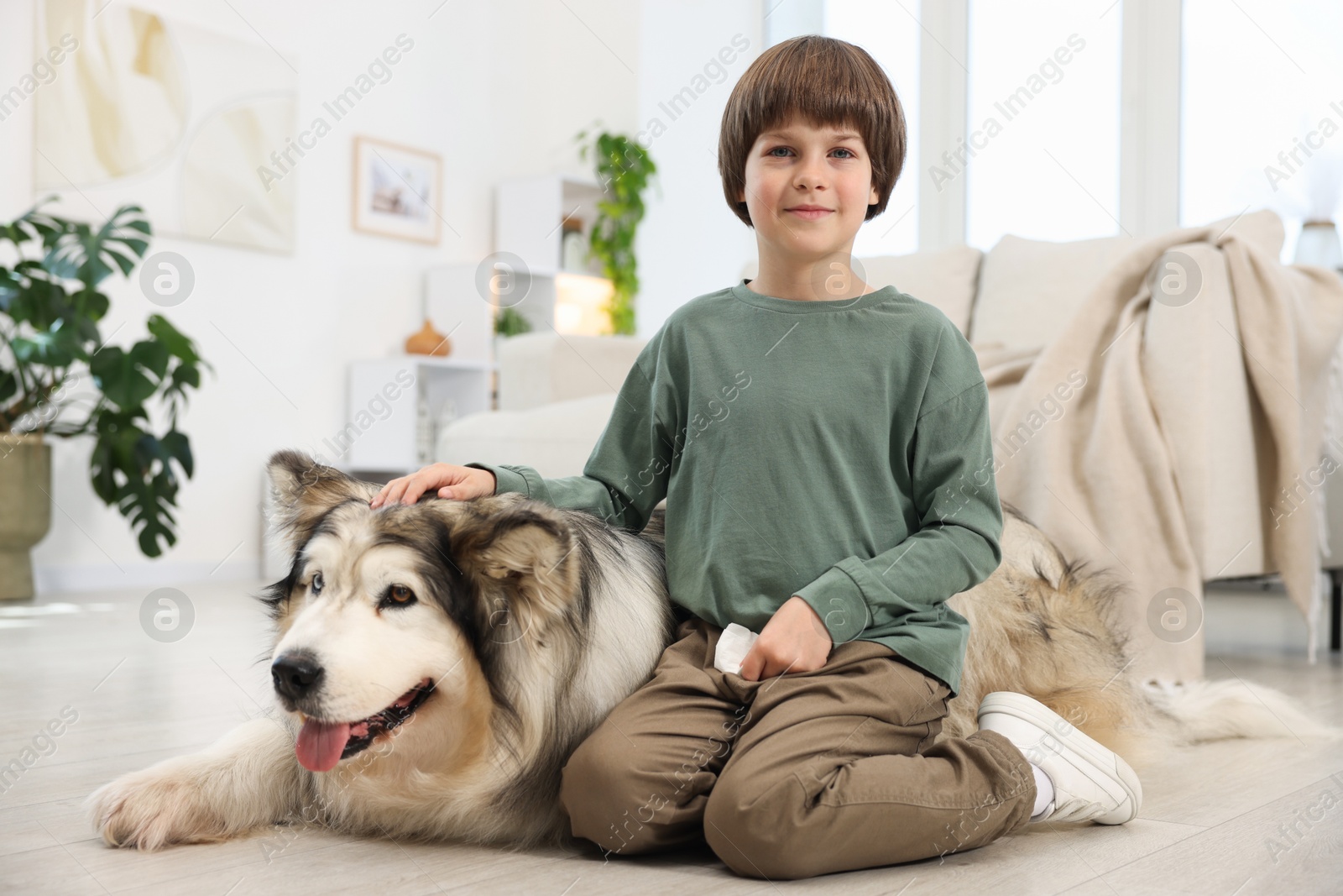 Happy boy and cute dog at home Photo of Happy boy and cute dog at home