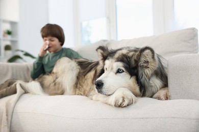Photo of Boy suffering from allergy with her dog on sofa at home, selective focus