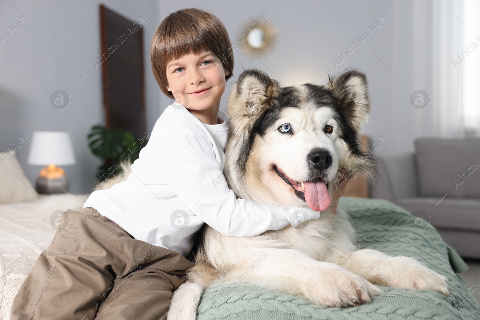 Happy boy and cute dog on bed at home Photo of Happy boy and cute dog on bed at home