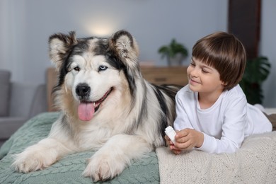Photo of Happy boy and cute dog on bed at home