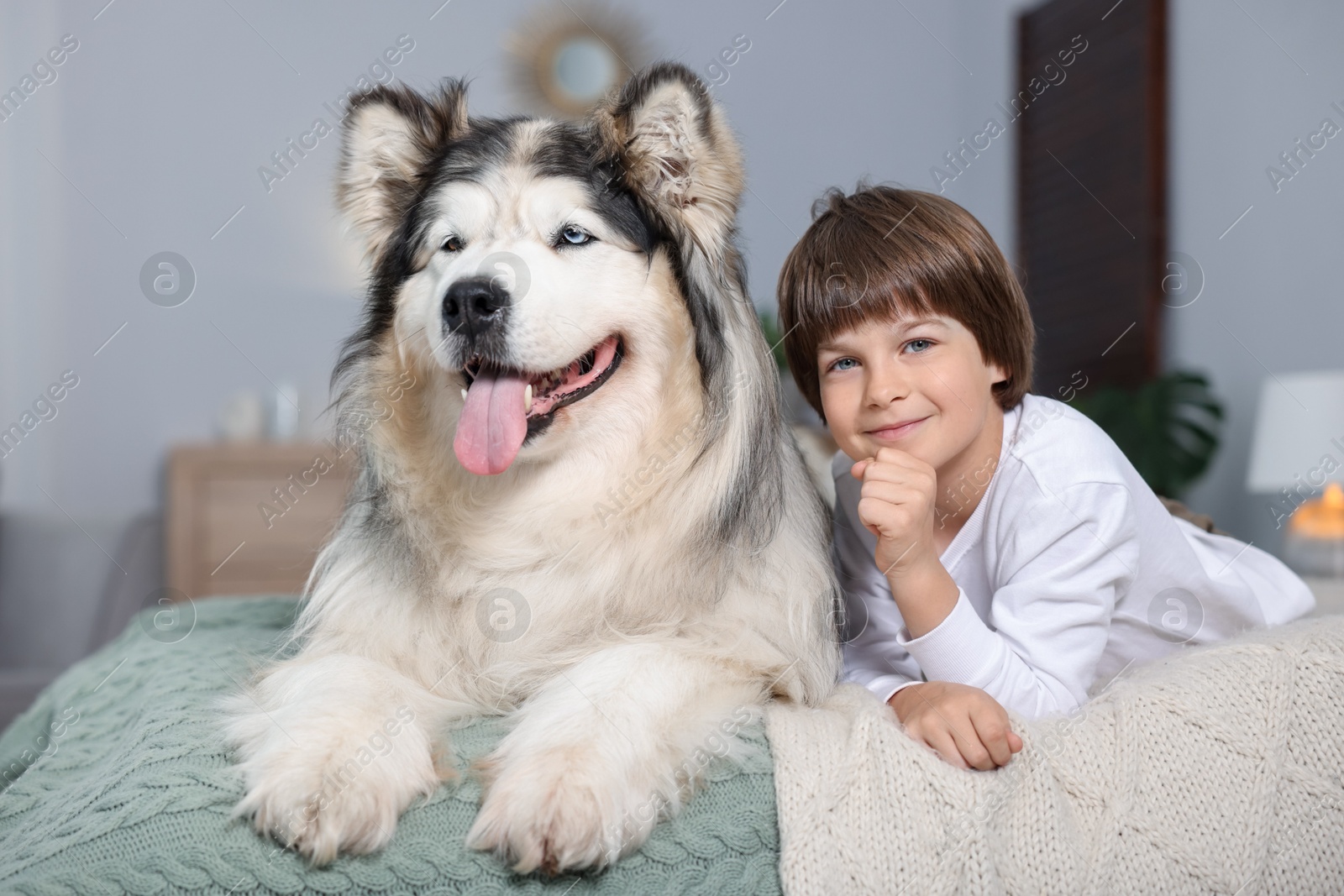 Happy boy and cute dog on bed at home Photo of Happy boy and cute dog on bed at home