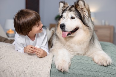 Photo of Happy boy and cute dog on bed at home