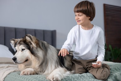 Photo of Happy boy and cute dog on bed at home