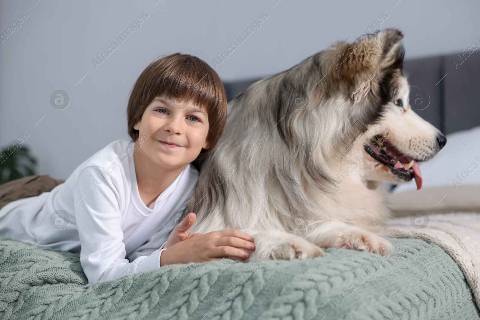 Happy boy and cute dog on bed at home Photo of Happy boy and cute dog on bed at home