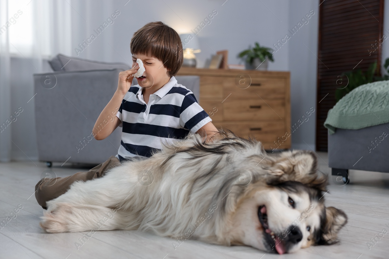 Boy suffering from allergy with her dog at home Photo of Boy suffering from allergy with her dog at home
