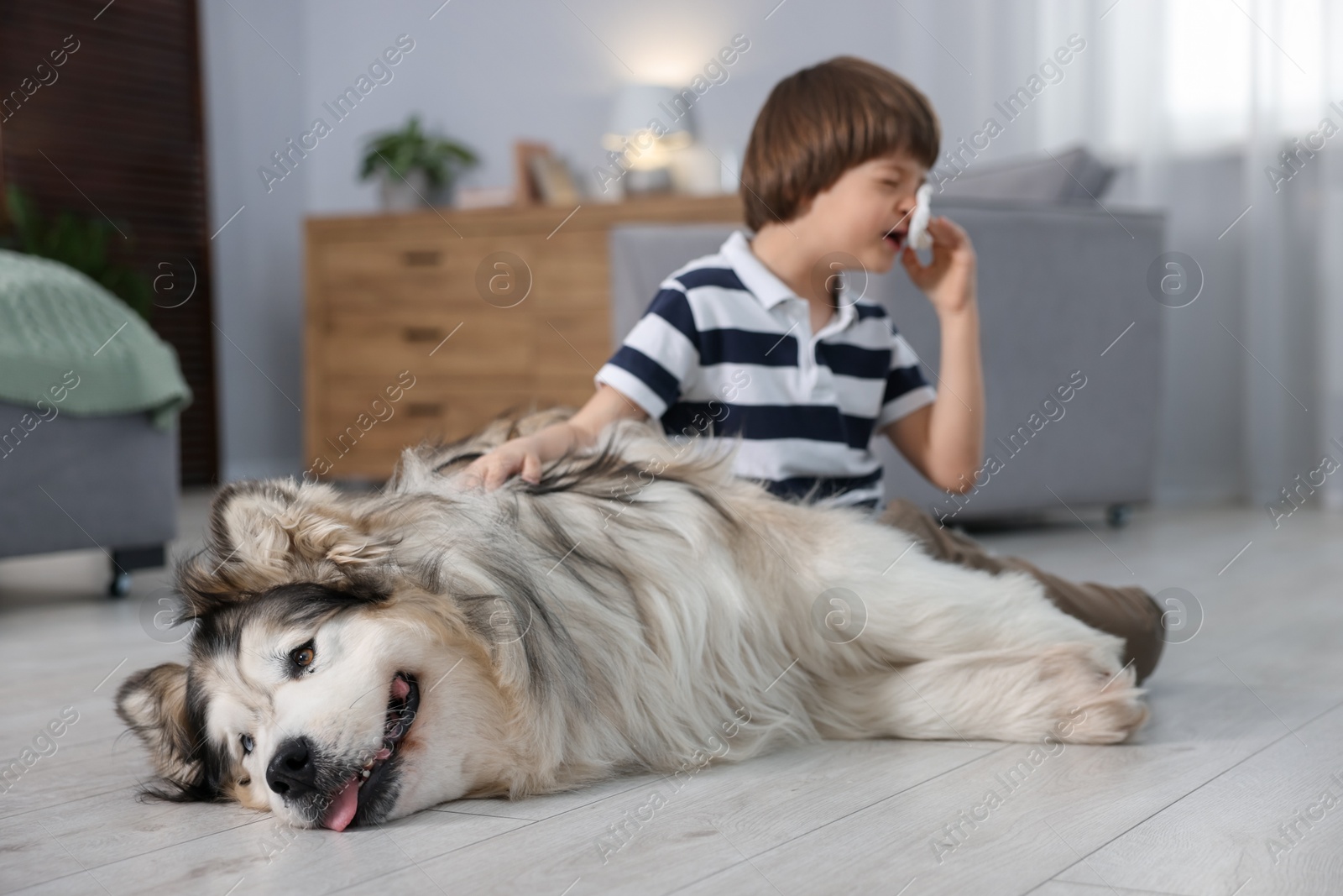 Boy suffering from allergy with her dog at home Photo of Boy suffering from allergy with her dog at home