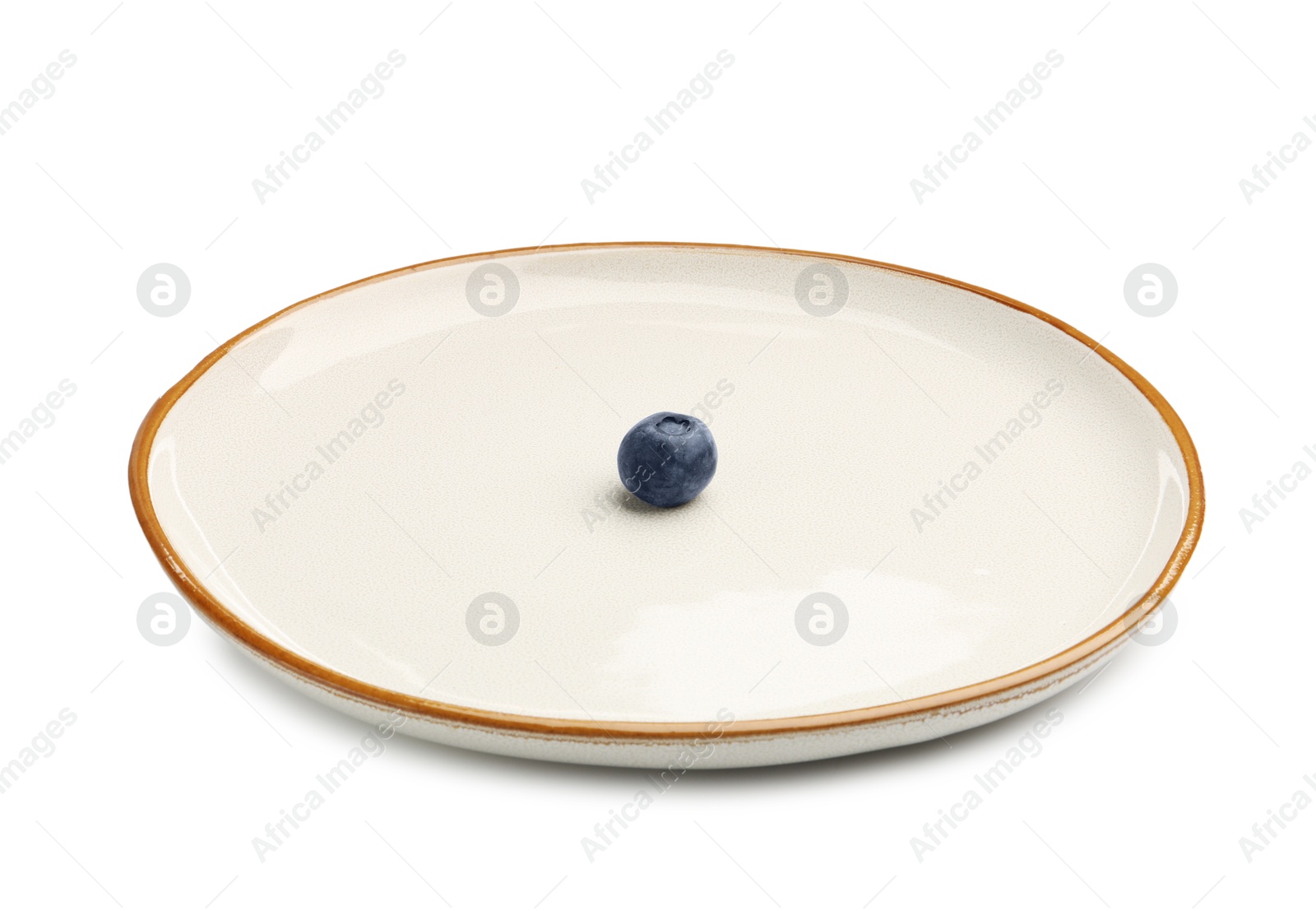 Plate with fresh blueberry isolated on white Photo of Plate with fresh blueberry isolated on white
