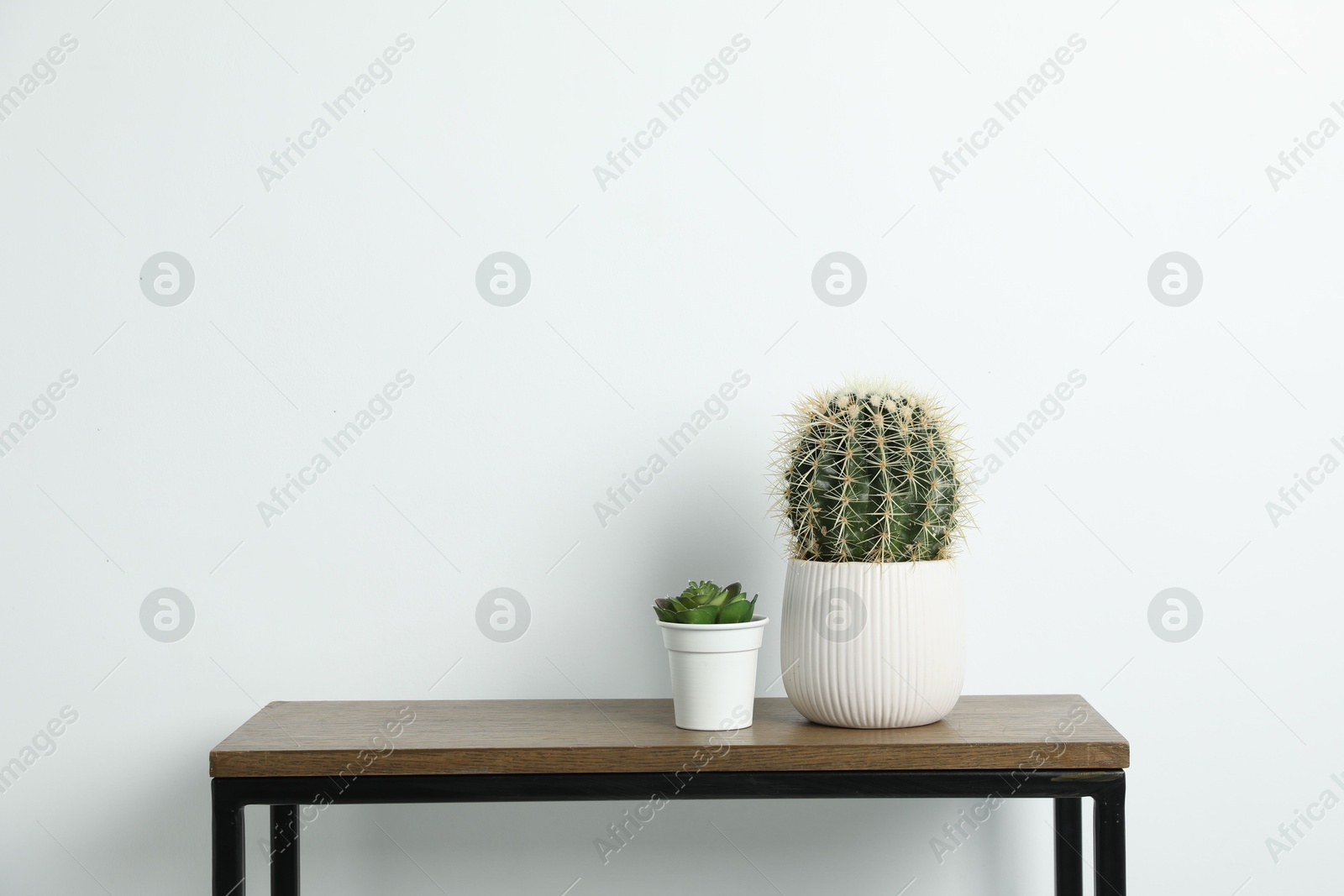 Beautiful floral decor on wooden table near white wall indoors Photo of Beautiful floral decor on wooden table near white wall indoors