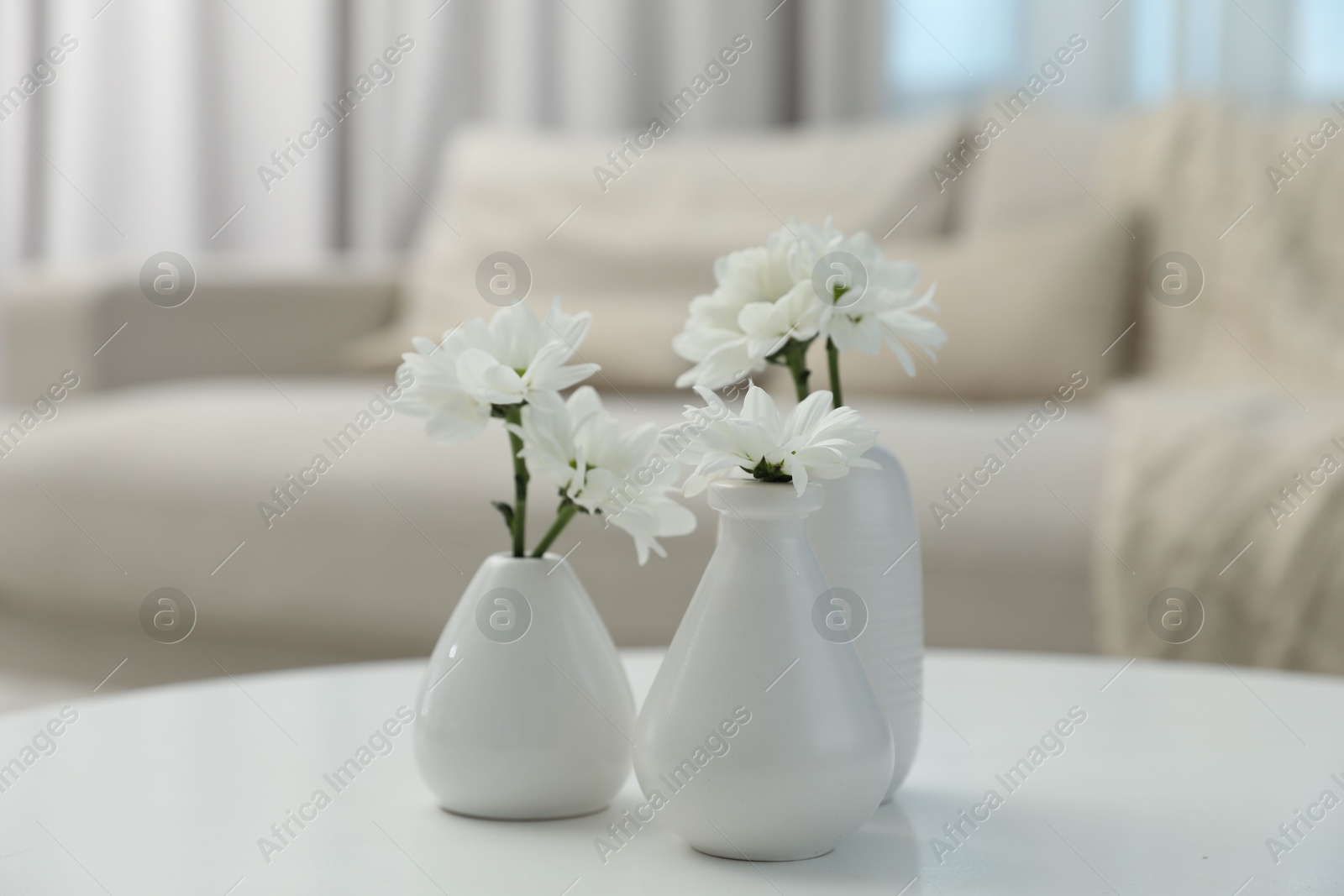 Beautiful chrysanthemum flowers in vases on white table indoors, closeup Photo of Beautiful chrysanthemum flowers in vases on white table indoors, closeup