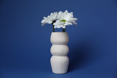 Photo of Beautiful white chrysanthemum flowers in vase on blue background
