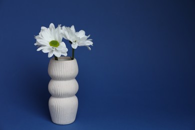 Photo of Beautiful white chrysanthemum flowers in vase on blue background, space for text