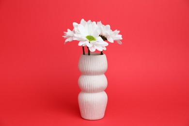 Photo of Beautiful white chrysanthemum flowers in vase on red background