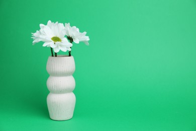 Photo of Beautiful white chrysanthemum flowers in vase on green background, space for text