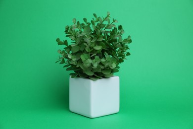 Photo of Beautiful plant in white pot on green background