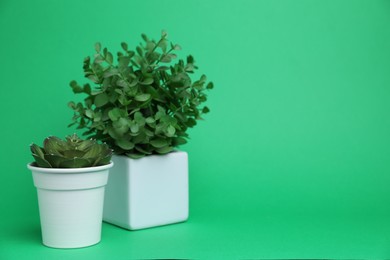 Photo of Beautiful plants in white pots on green background, space for text
