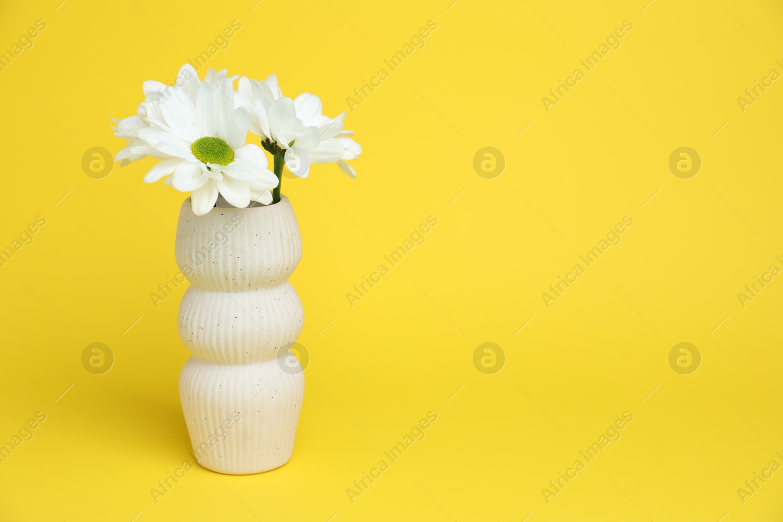 Beautiful white chrysanthemum flowers in vase on yellow background, space for text Photo of Beautiful white chrysanthemum flowers in vase on yellow background, space for text