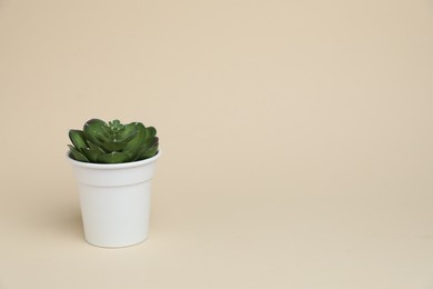 Photo of Green plant in white pot on beige background, space for text