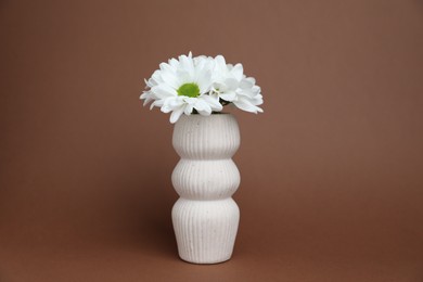 Photo of Beautiful white chrysanthemum flowers in vase on brown background