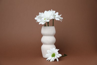 Photo of Beautiful white chrysanthemum flowers in vase on brown background