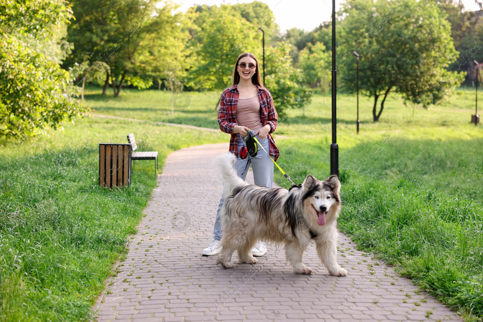 Happy woman walking with her cute Alaskan malamute dog in park Photo of Happy woman walking with her cute Alaskan malamute dog in park