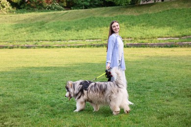Photo of Happy woman walking with her cute Alaskan malamute dog on green grass outdoors
