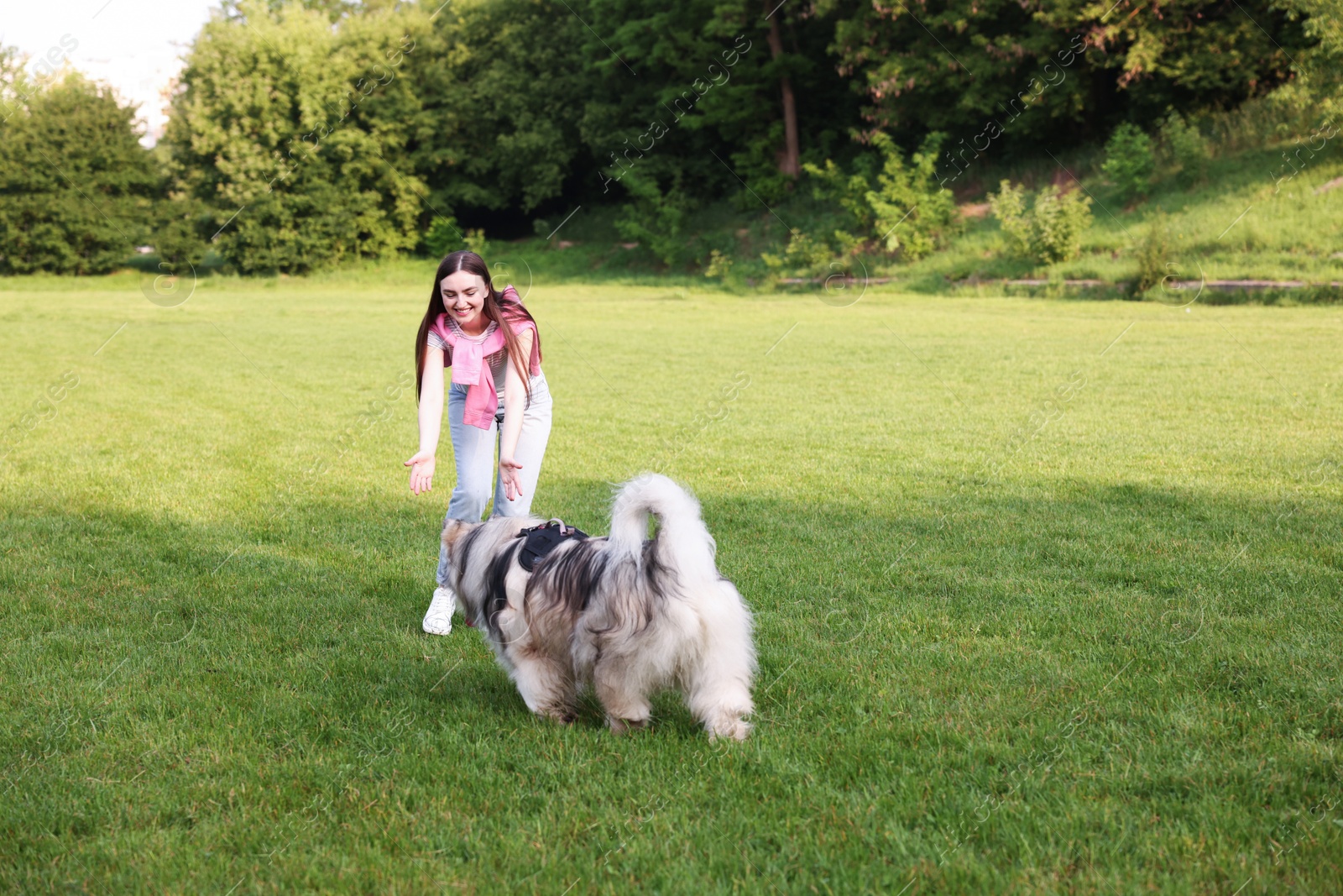 Smiling woman with her cute Alaskan malamute dog on green grass outdoors Photo of Smiling woman with her cute Alaskan malamute dog on green grass outdoors