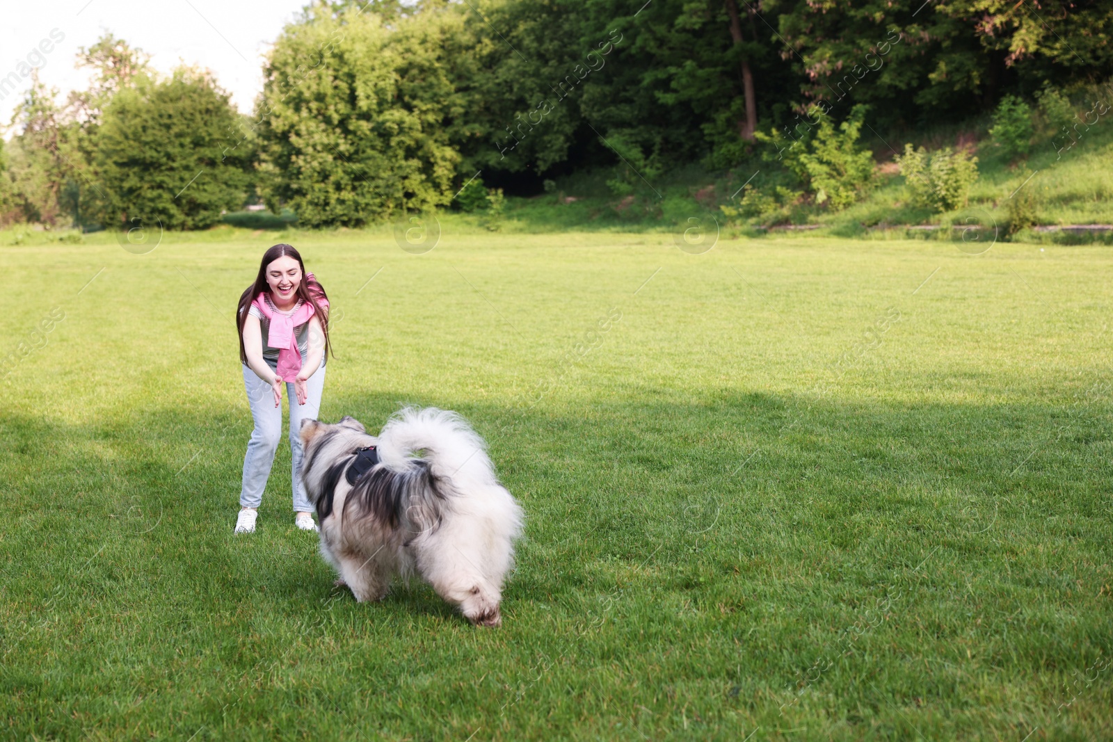 Smiling woman with her cute Alaskan malamute dog on green grass outdoors. Space for text Photo of Smiling woman with her cute Alaskan malamute dog on green grass outdoors. Space for text