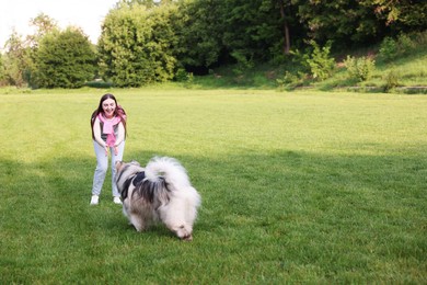 Photo of Smiling woman with her cute Alaskan malamute dog on green grass outdoors. Space for text