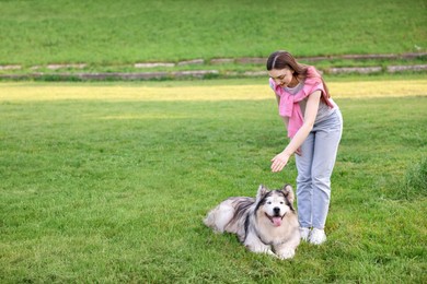 Photo of Smiling woman training her cute Alaskan malamute dog on green grass outdoors. Space for text