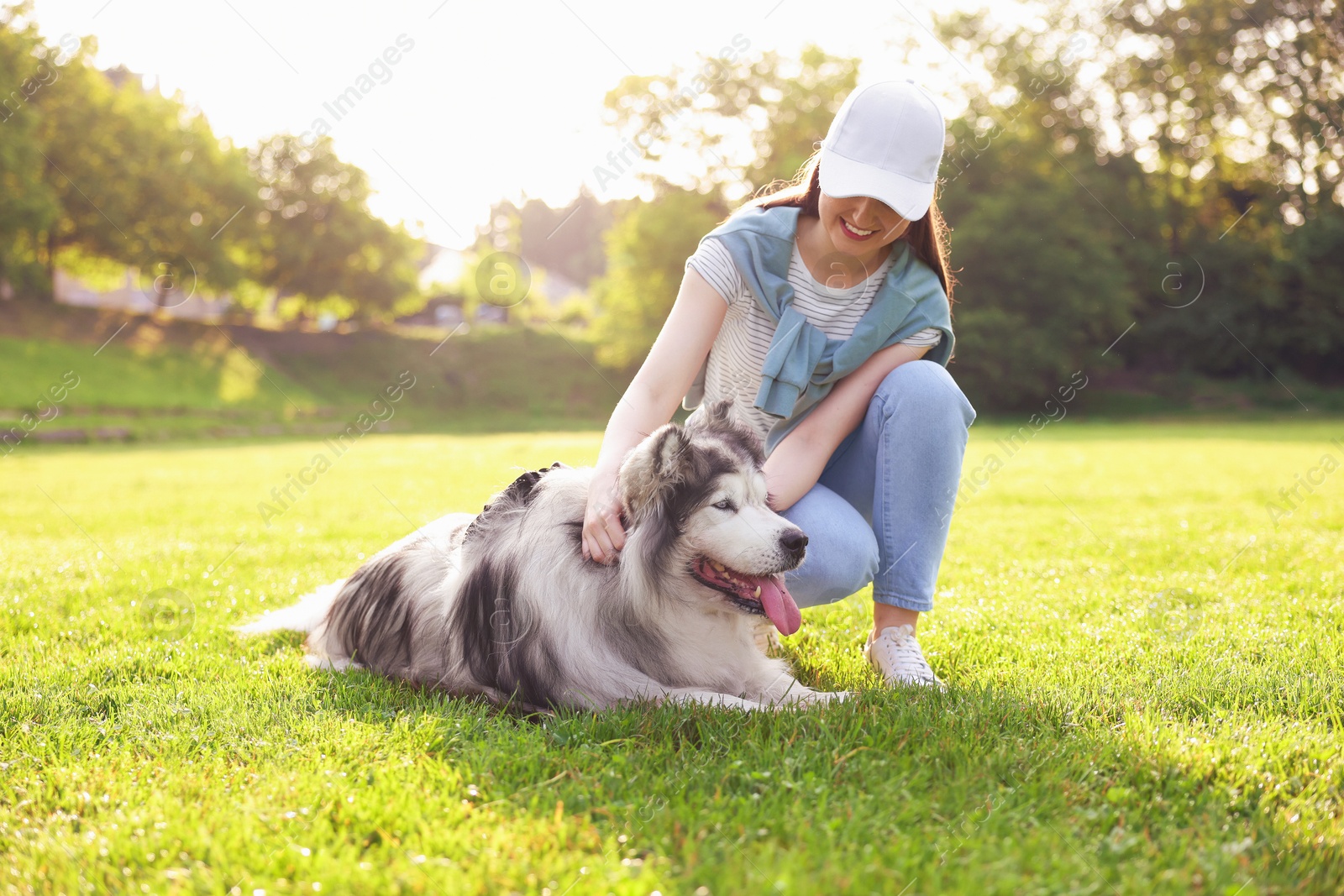 Smiling woman with her cute Alaskan malamute dog on green grass outdoors in morning Photo of Smiling woman with her cute Alaskan malamute dog on green grass outdoors in morning
